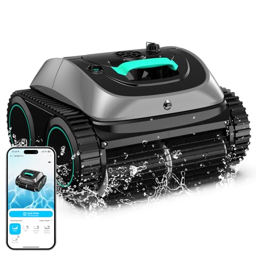 Wybot C1